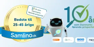 Billede af en medalje med titlen "bedste til 25-45 årige"