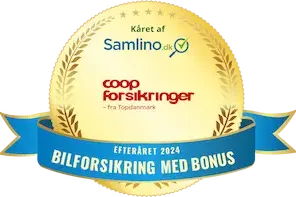 medalje med udbyders logo og hvilken award de har vundet