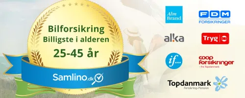 Artikel billede