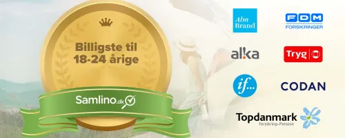 Artikel billede