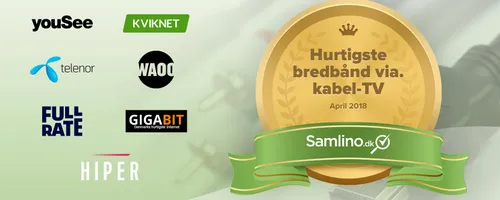 Artikel billede