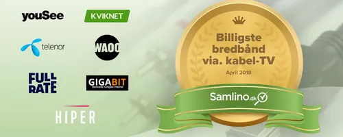 Artikel billede