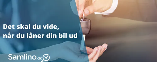 Artikel billede