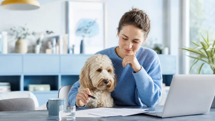 Hvad dækker en hundeforsikring? Komplet guide til dækning og undtagelser