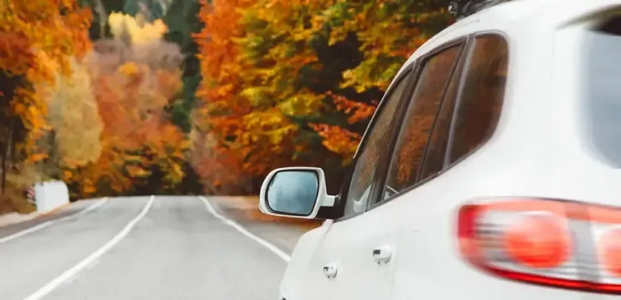 Artikels primære foto