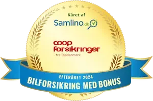 award-img