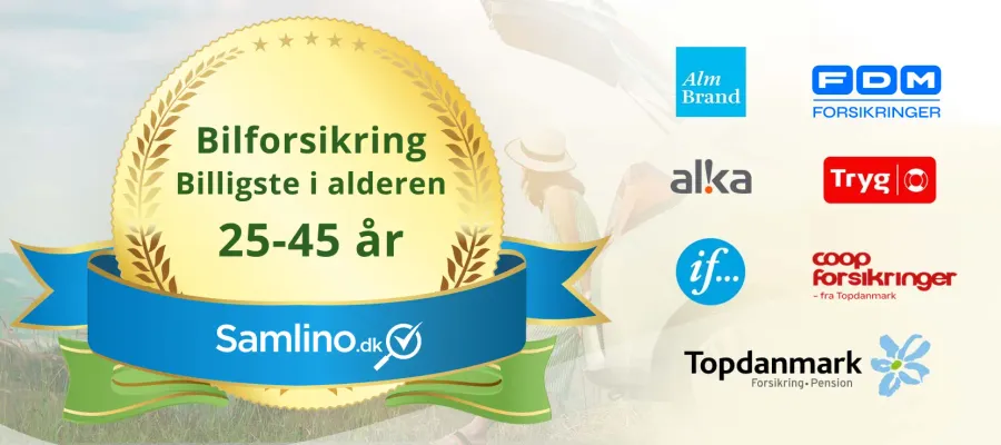 Artikels primære foto