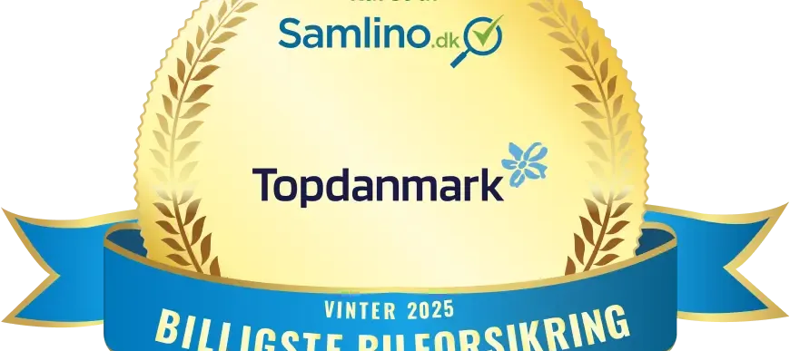 Artikels primære foto